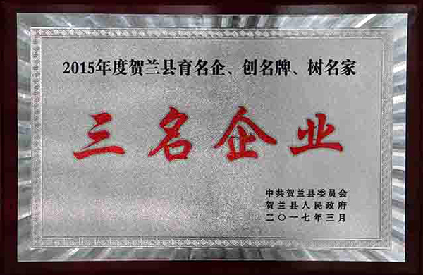 荣获“2015年度贺兰县育名企、创**、树名家”